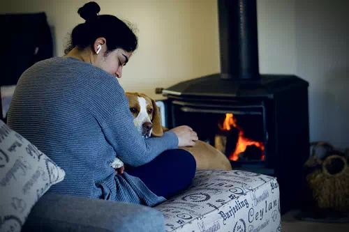 Cozy photography idea - Vector Design US, Inc.