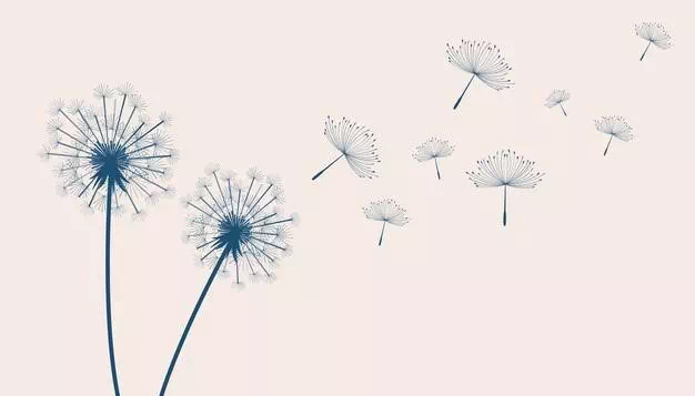 Flying Dandelion flower on the breeze - Vector Design US, Inc.