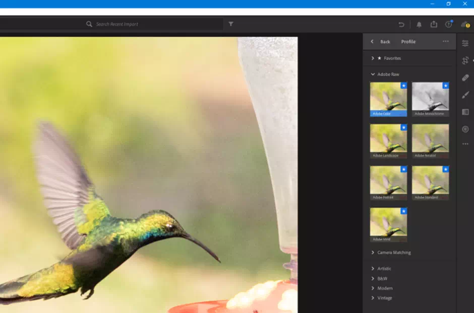 Raw Profiles - Vector Design US, Inc.