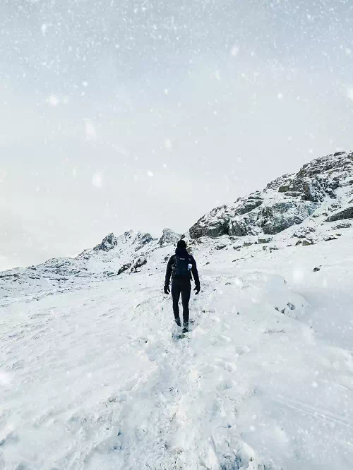 Snowfall photography - Vector Design US, Inc.