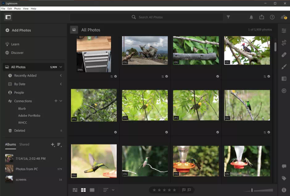 The Lightroom Interface - Vector Design US, Inc.