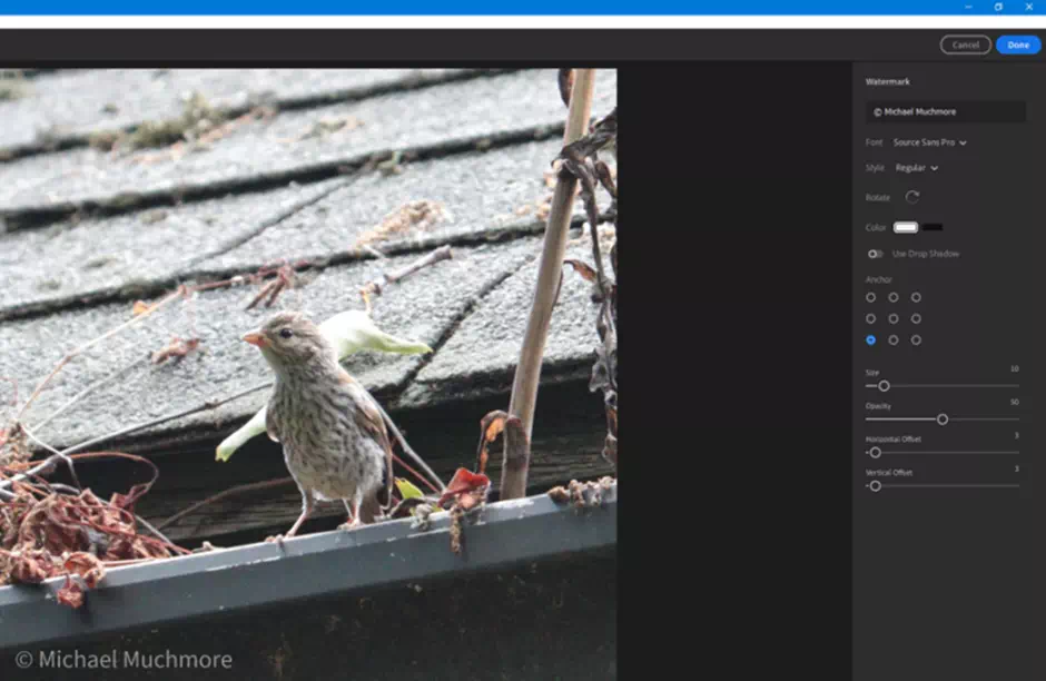 The watermarking subtle feature that arrived in the June 2020