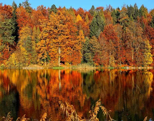 Water Mirror - Vector Design US, Inc.