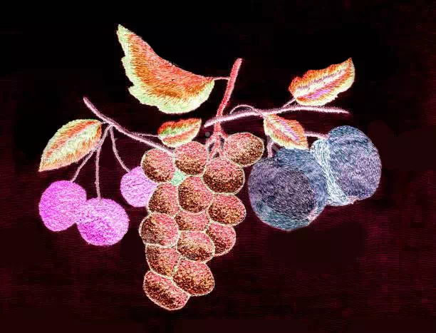 Digital Stitches Embroidery Design - Vector Design US, Inc.