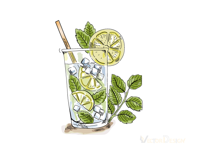 Lime drink illustration converted to layered vector artwork