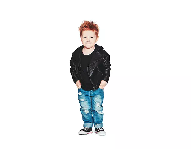 Color Matching to Sample sample