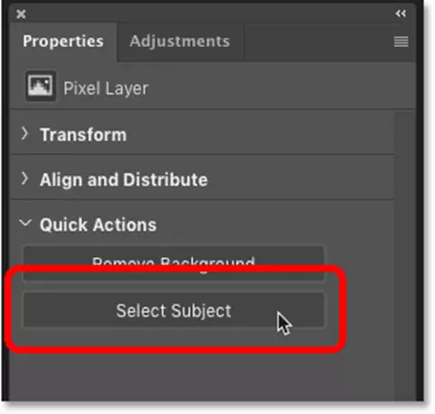 Subject option