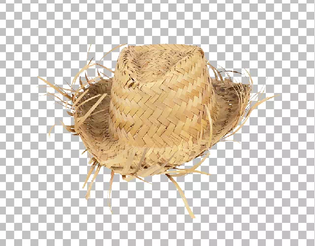 Hair, Fur and Straw sample