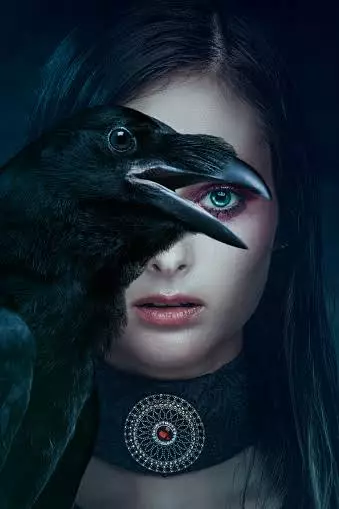 3D Raven - Vector Design US, Inc.