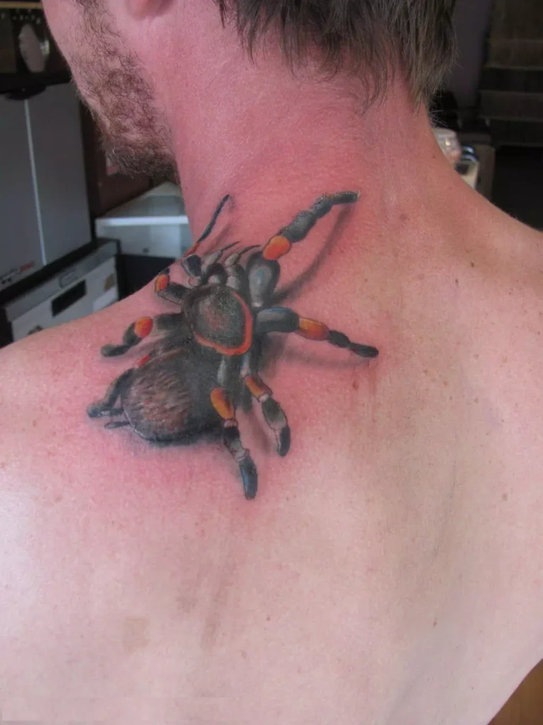 A Spider Crawling up a Neck - Vector Design US, Inc.