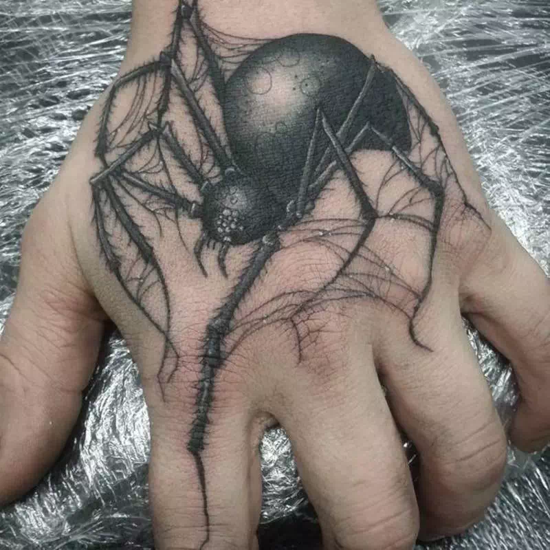 Black Widow Spider - Vector Design US, Inc.
