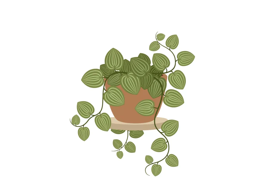 Blue Ceramic Pot Hanger - Vector Design US, Inc.