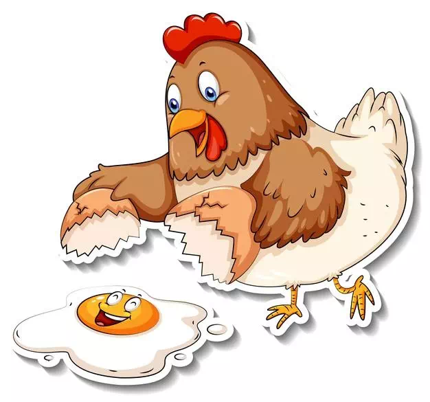 Chef Chicken - Vector Design US, Inc.