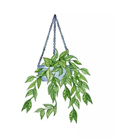 DIY Hanger Pot - Vector Design US, Inc.