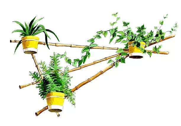 Horizontal Bamboo Hanger - Vector Design US, Inc.