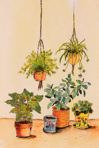 Messy Garden Inspired - Vector Design US, Inc.