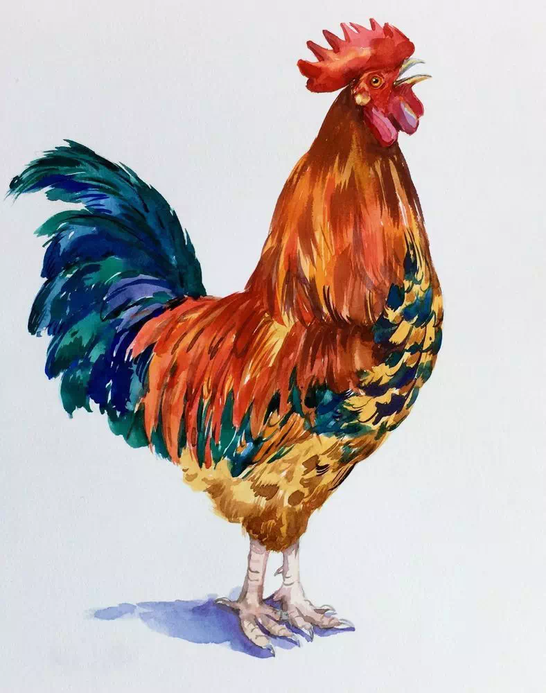 Rooster of Triangles - Vector Design US, Inc.