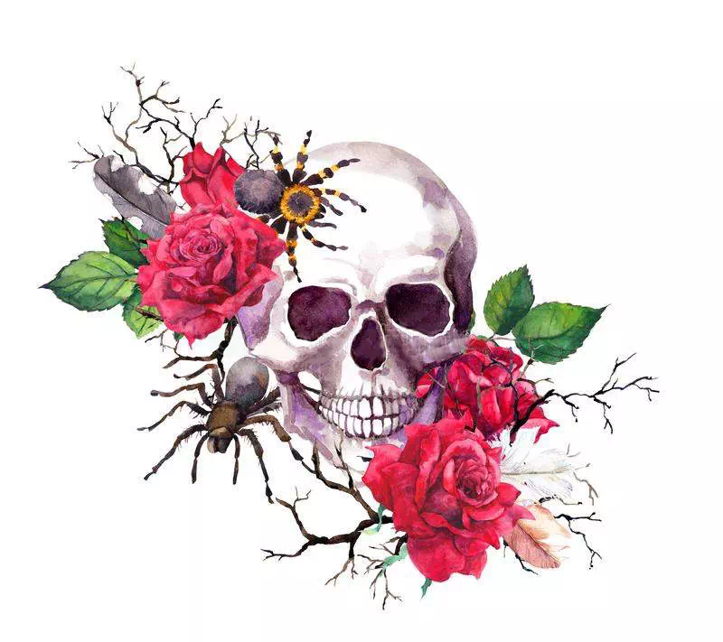 Spiders with a Skull