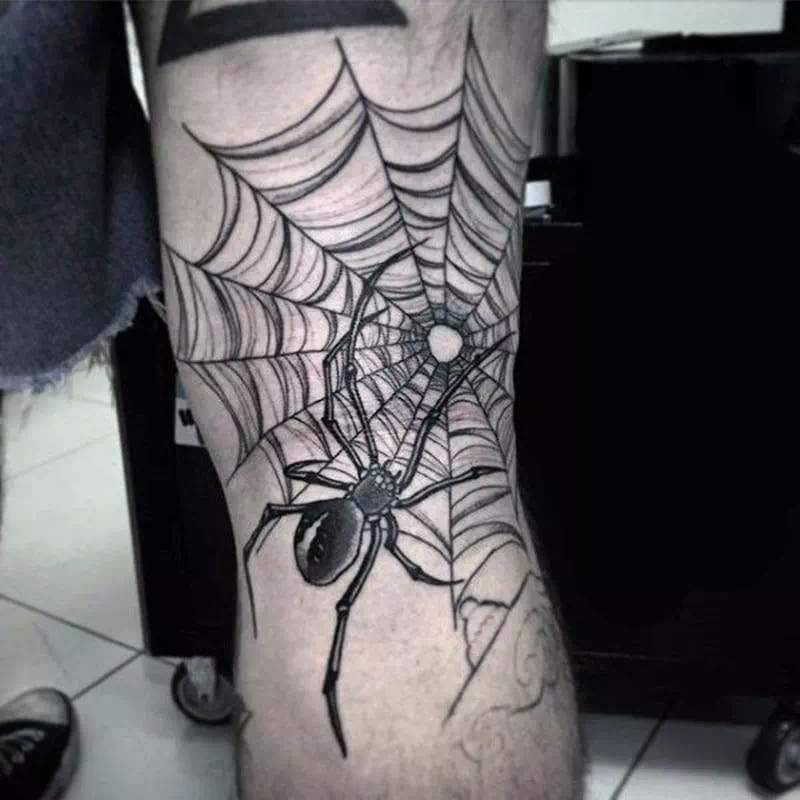 Spiders Inside its Web - Vector Design US, Inc.