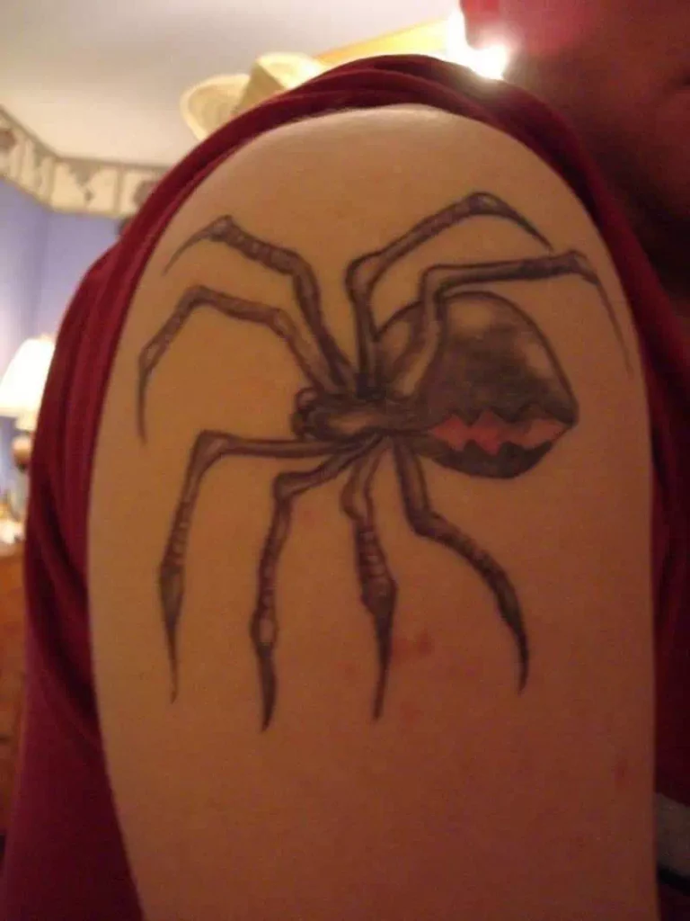 Umbrella Spider Web