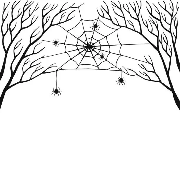 Wild Spiders - Vector Design US, Inc.