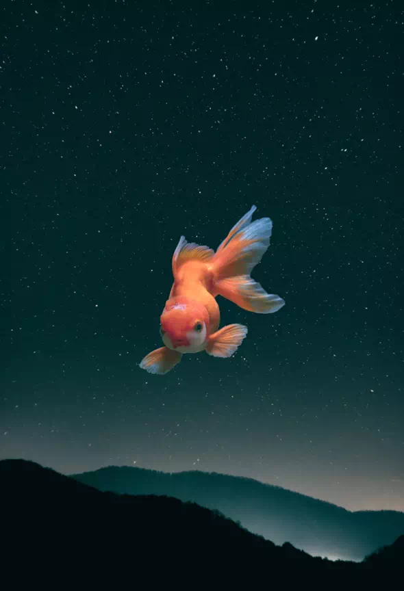 Finally, get the output of using blending modes