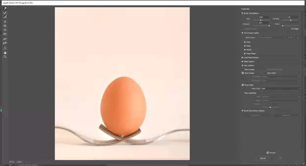 Get the Liquify Dialog Box with The Option on The Left Side