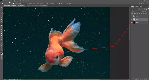 If you notice, you will get the lighter stars that the fish are seen through the fish image. We have to remove the stars to get a perfect image composite