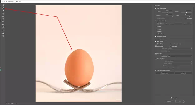 Use the Reconstruct Tool
