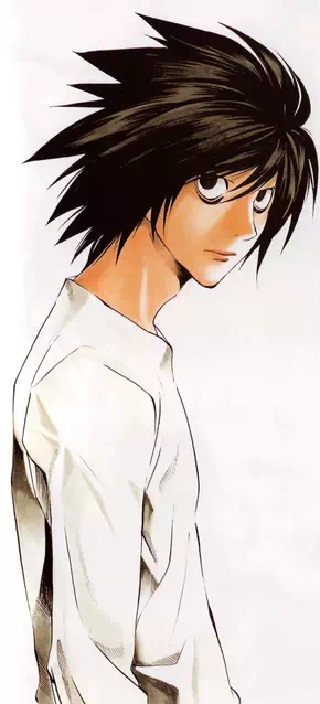 L Lawliet - Vector Design US, Inc.