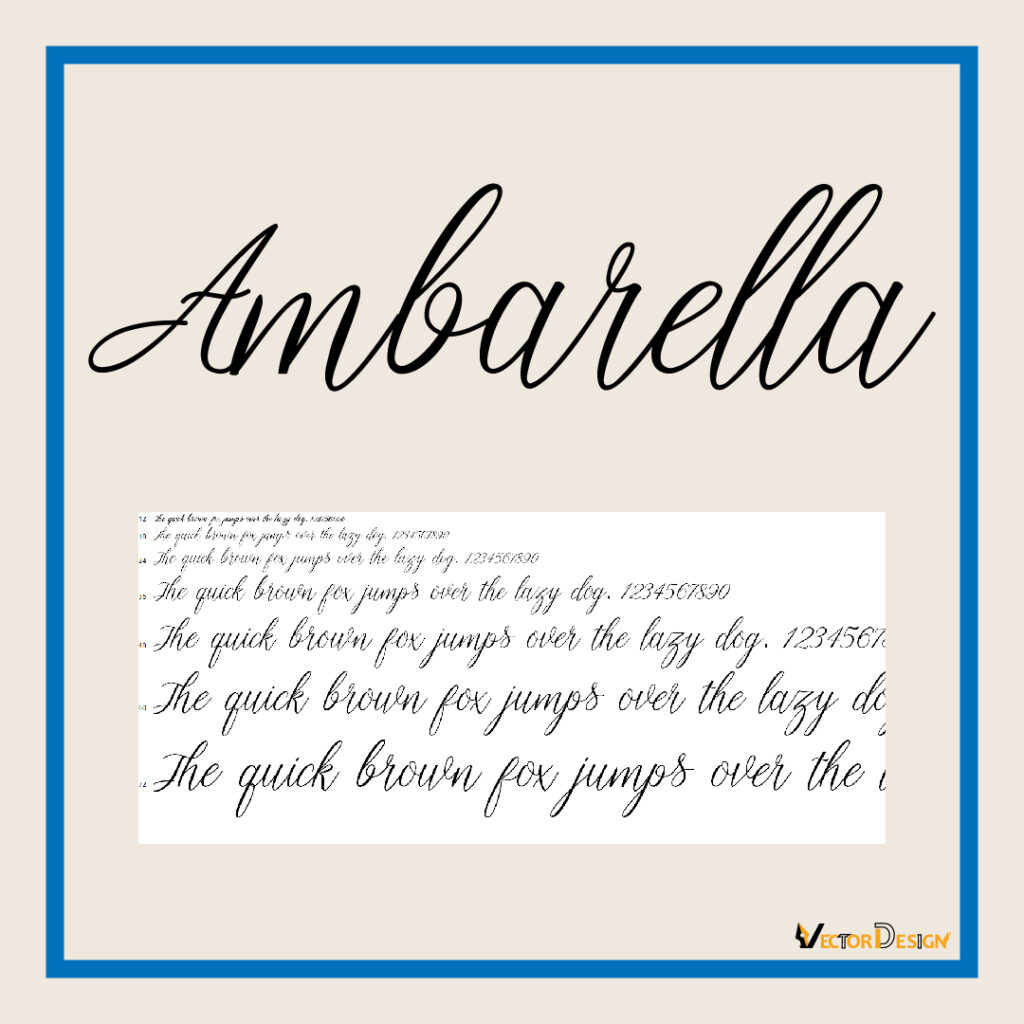 ambarella