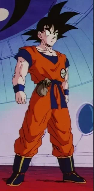 Goku - Vector Design US, Inc.