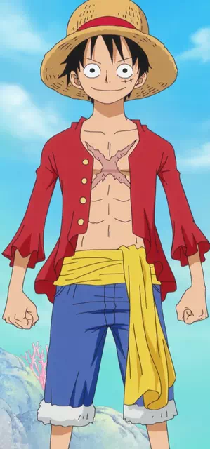 Monkey  D. Luffy - Vector Design US, Inc.