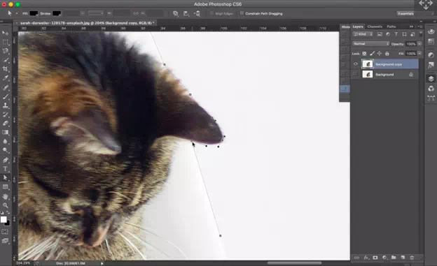 Step 1: Drawing the Path Around the Product in the Photo