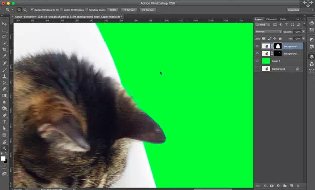 Step 6: Final Merging