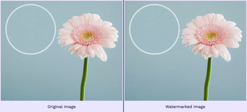 Invisible Watermark