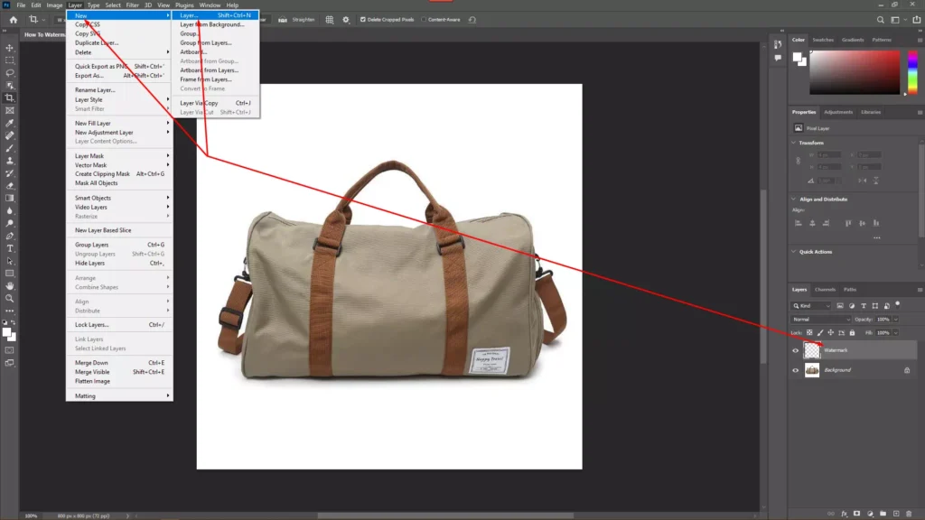 Step 2: Creating A New Layer
