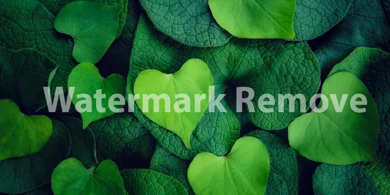 what is watermark
