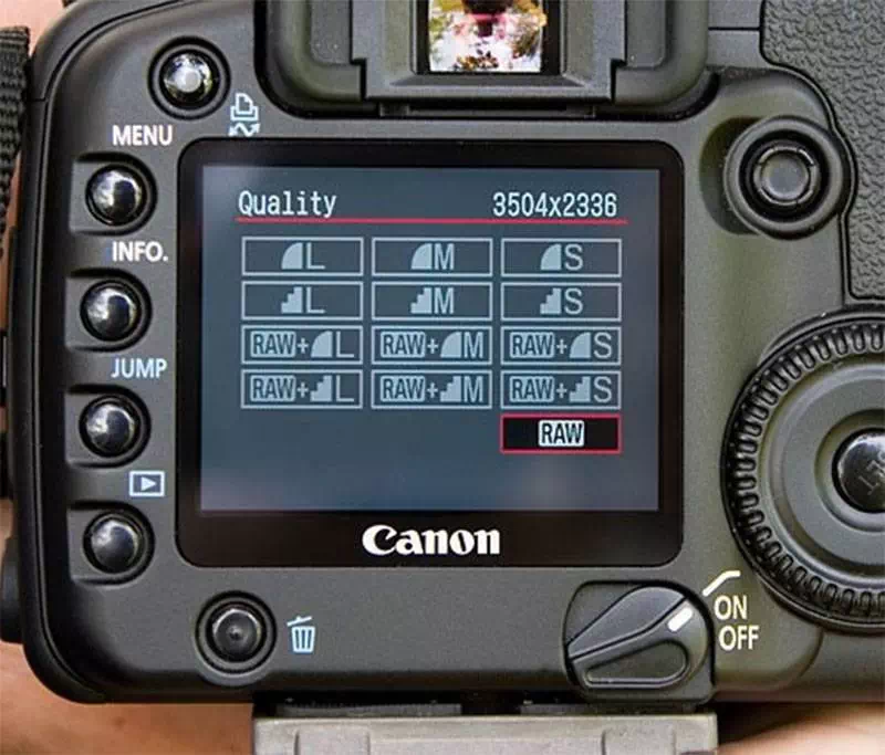 Go for raw format