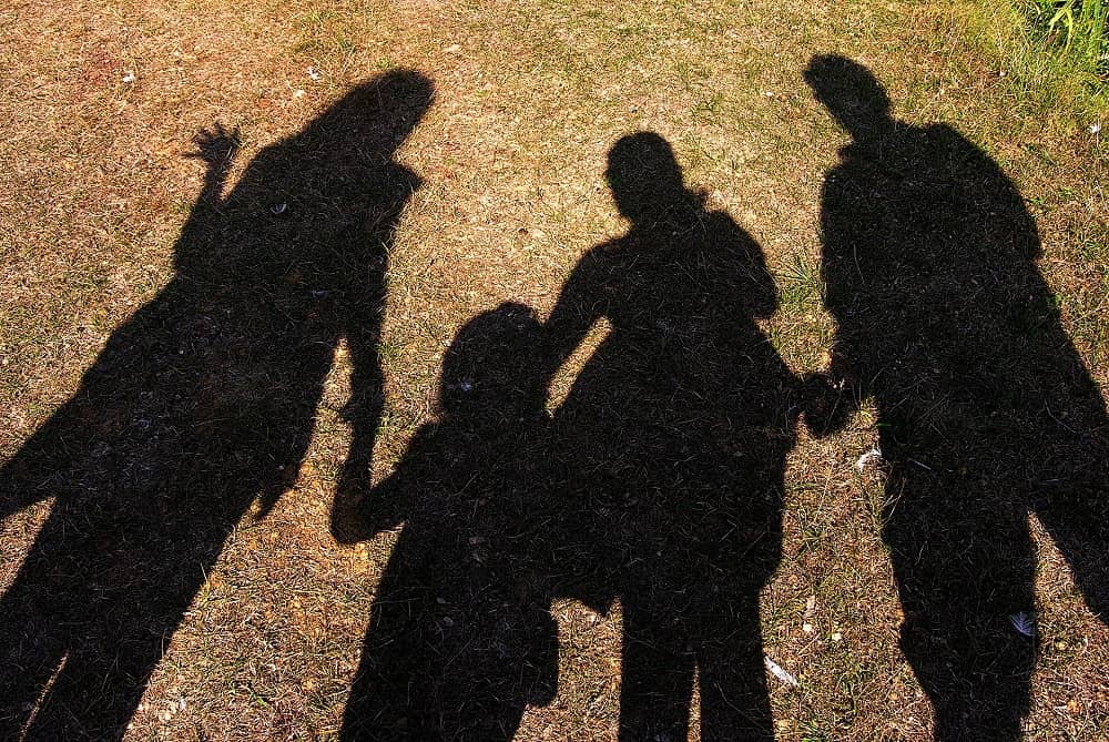 family shadow - Vector Design US, Inc family shadow
