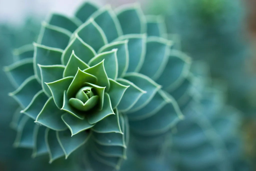 Focus on small details