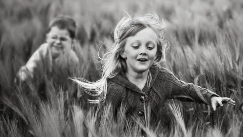 Search for laughter