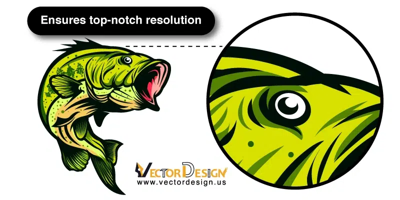 Ensures-top-notch-resolution Ensures top-notch resolution