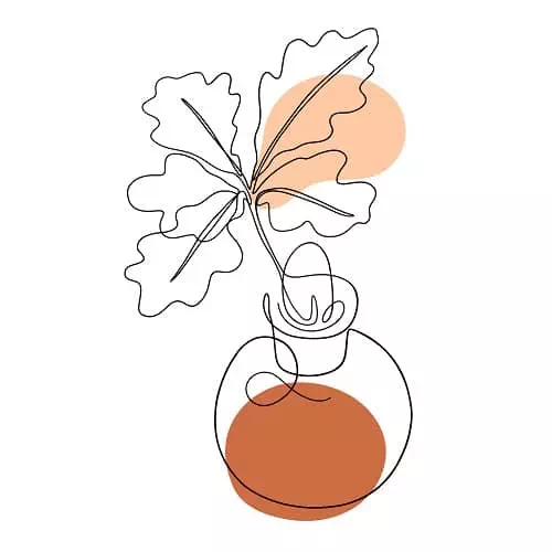 05