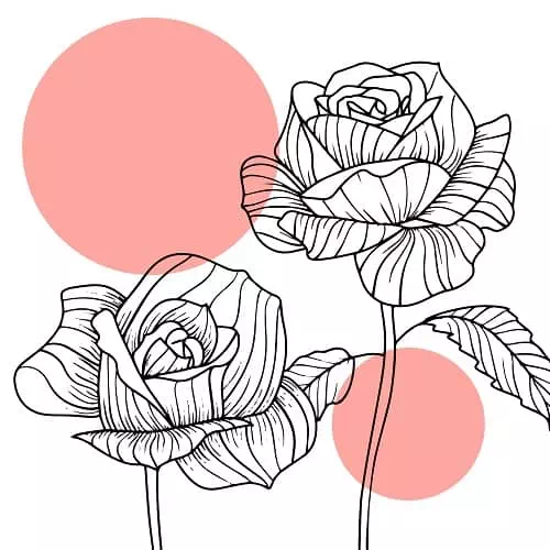 25