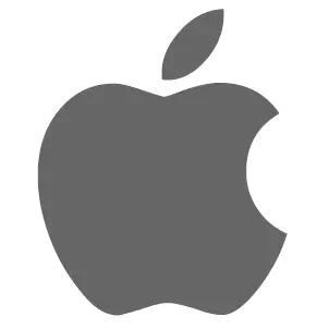 Apple Inc Apple Inc