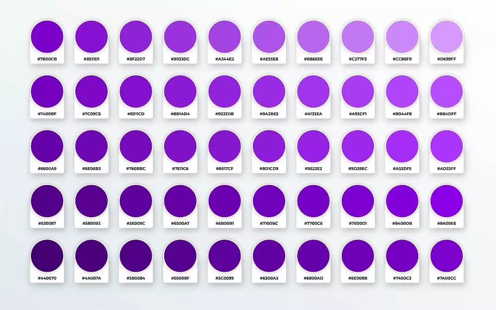 Color Palette Color Palette