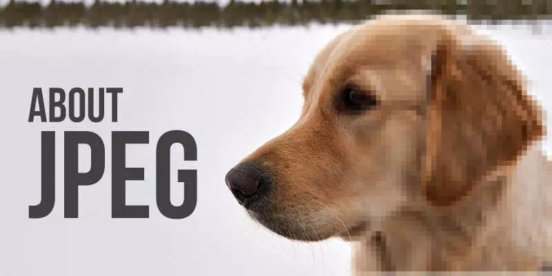 About-JPEG About-JPEG