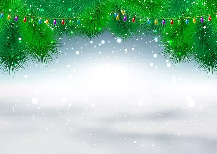 Holiday-themed Backdrops