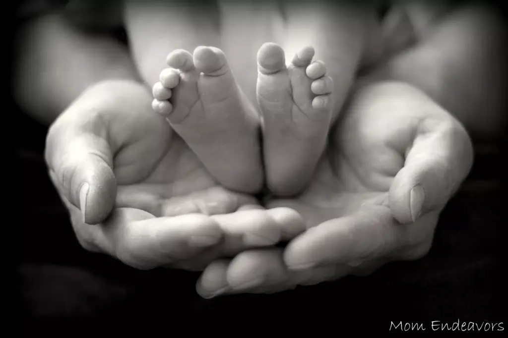 Newborn Backdrops